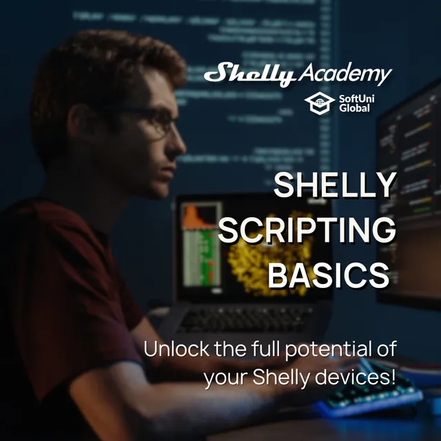 shelly-scripting-basics-kurs-f-r-gen3-gen4 image 1
