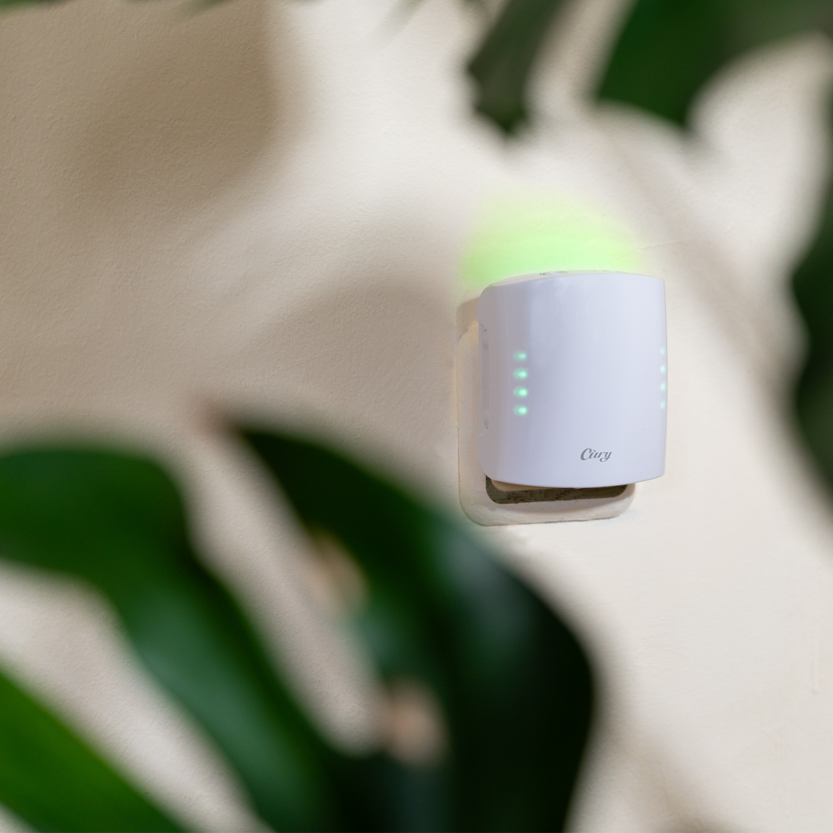 cury-by-shelly-smart-diffuser-amber-dusk-wlan-duftdiffusor-mit-m-ckenschutz image 5