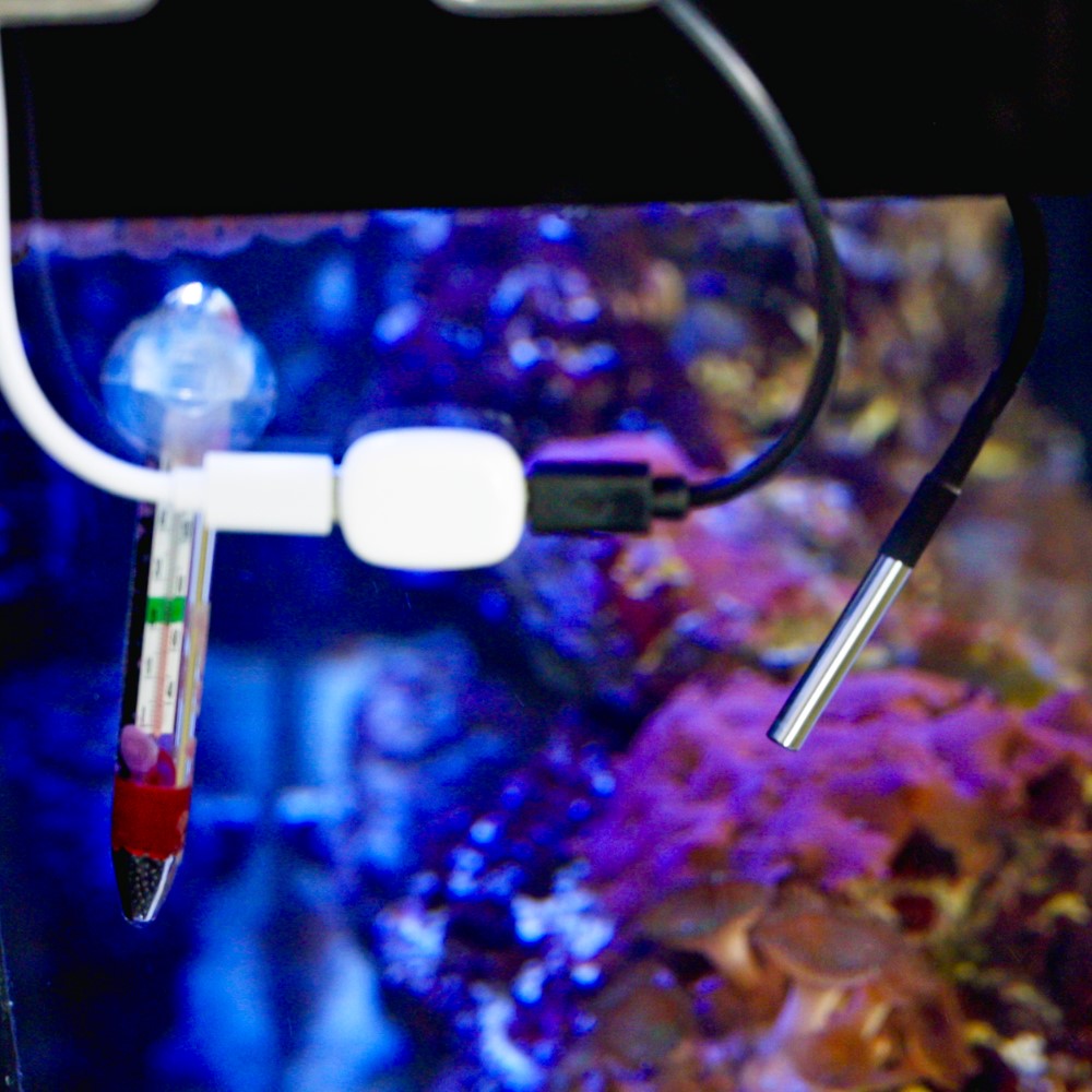 shelly-temperatursensor-ds18b20-3-5-mm-klinke-1-m-kabel image 3